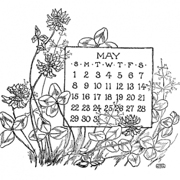 Vintage May Calendars – Blackboard Art